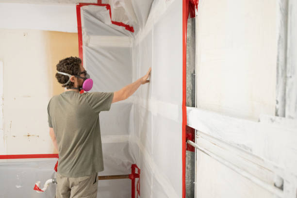 Best Residential Mold Inspection & Testing  in Fox Chase, PA