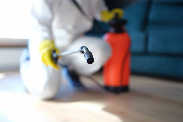 Trusted Fox Chase, PA Mold Removal Experts