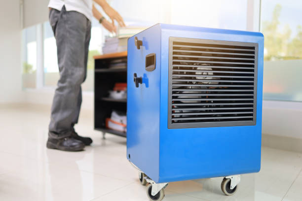 Best Mold Odor Removal Services  in Fox Chase, PA