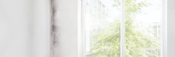 Best Indoor Air Quality Assessment  in Fox Chase, PA
